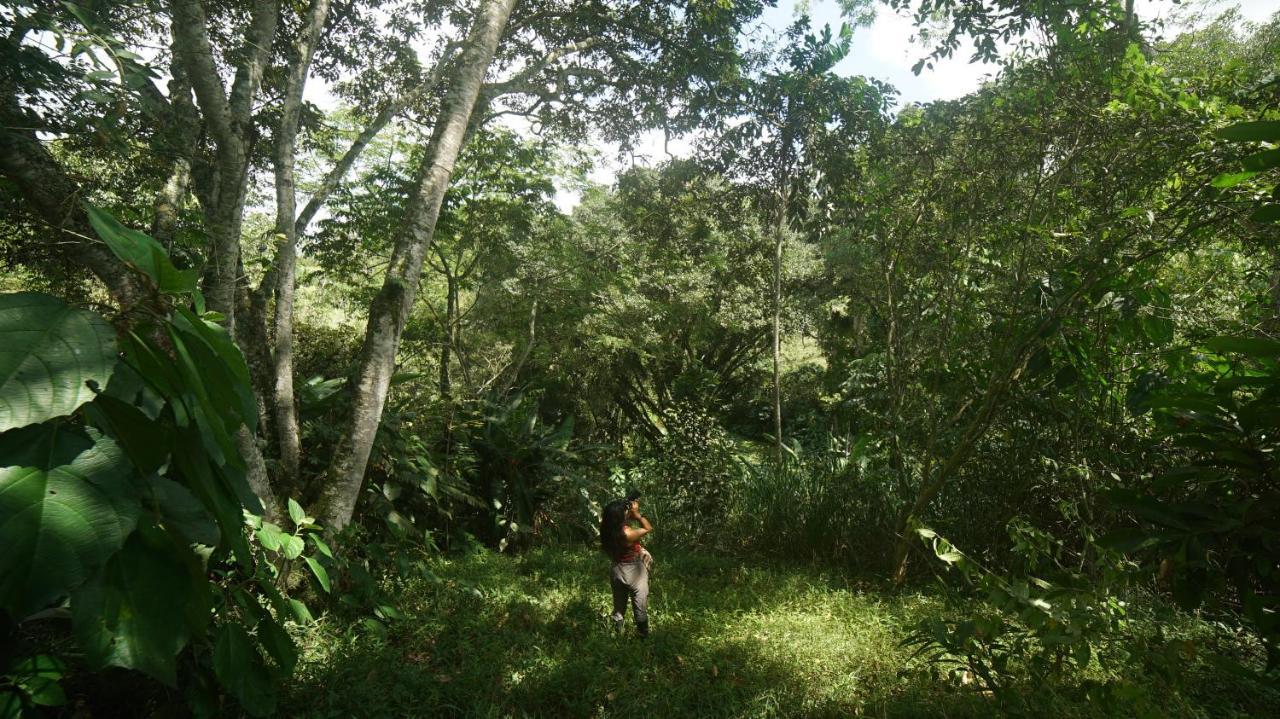 Finca La Argelia キンバヤ エクステリア 写真
